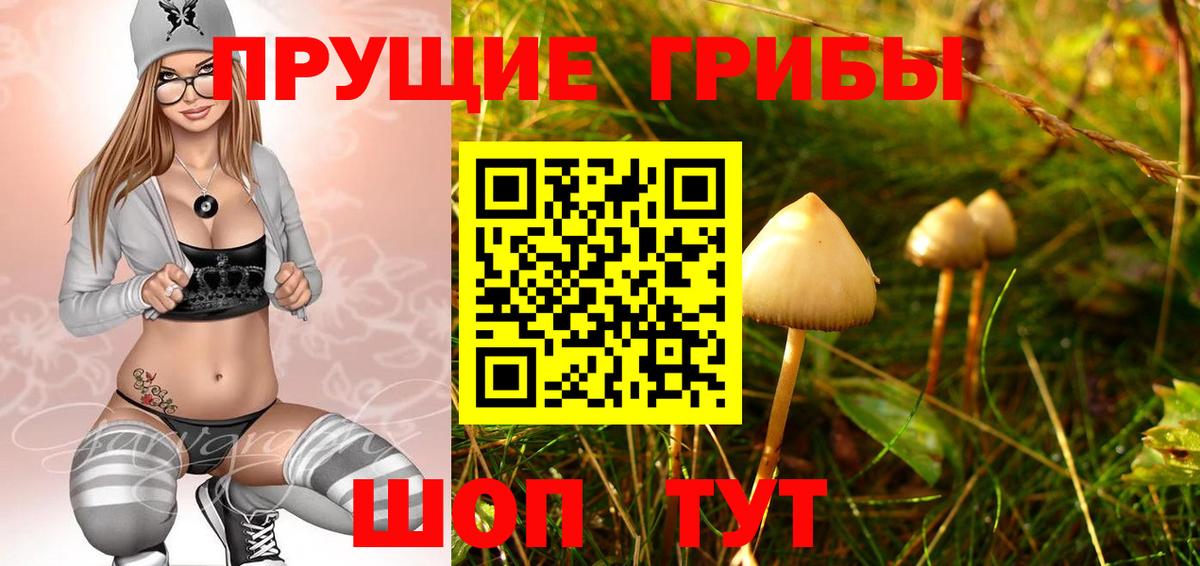 Сланцы  Псилоцибиновые грибы Magic Shrooms  Галлюциногенные грибы GOLDEN TEACHER  Вход с VPN 