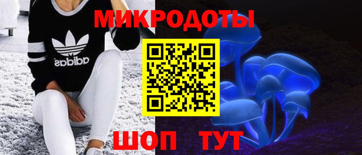 Галлюциногенные грибы Magic Shrooms Сланцы